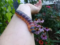 DSCF9404.webp
