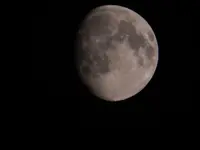 DSCN8787.webp