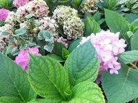 Bilda003.webp