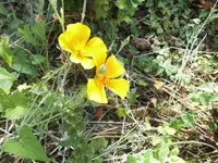 Bilda017.webp