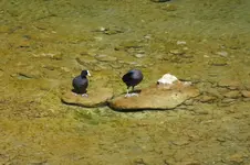 DSCF2617.webp