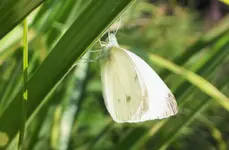 DSCF2981 (3).webp