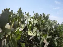 DSCN8414.webp