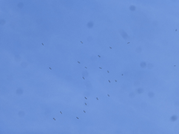 P1500981.webp