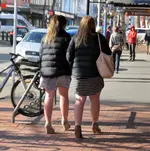 IMG_1303v.webp