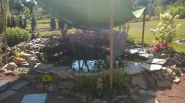 1 (68).webp