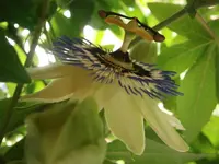 P8270187.webp
