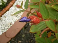 P8270194.webp