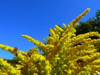021.webp