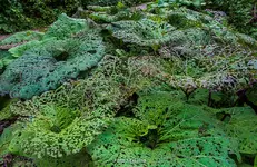 IMG_3789.webp