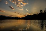 IMG_3721.jpg