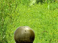 IMG_3704vv.webp