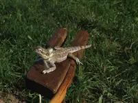 DSCF3971.webp