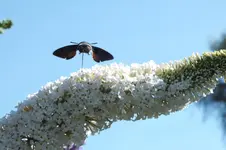 DSCF2986.webp