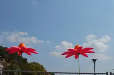 DSCF2948.webp