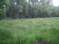 PIC00021.webp