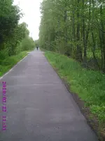 PIC00022.webp