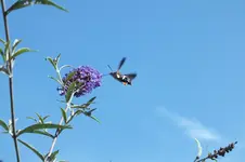 DSCF2990.webp