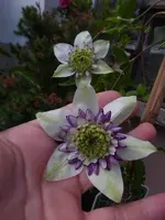 P1500831.webp
