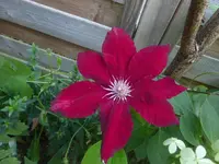 P1500579.webp
