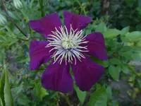 P1500650.webp