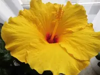 Bilda004.webp