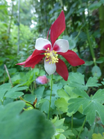 P1510293.webp
