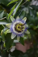 DSC_5197.webp