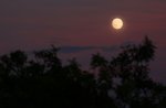 evening_moon_p.jpg