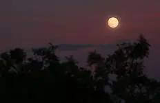 evening_moon_p.webp