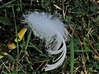 Copy of IMG_6280v.webp