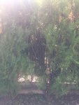 IMG_8585.jpg