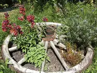 BILD4387.webp
