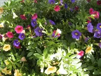 BILD4539.webp
