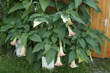 _DSC9183.webp