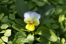 _DSC9187.webp