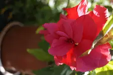 _DSC9194.webp