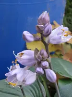 014_600x800.webp