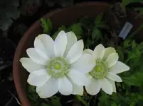 002_1067x800.webp