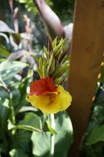 _DSC9179.webp