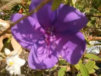 P8290204.webp