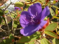 P8290205.webp