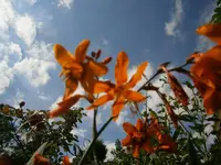 P8290206.webp