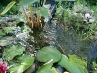 P8290211.webp
