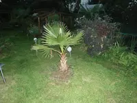 P8290217.webp
