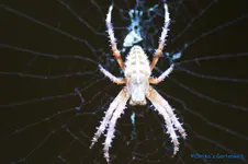 comp_DSC04424.webp