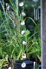 comp_DSC04425.webp