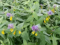 20150621_152102.jpg