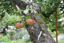 IMG_7680.webp
