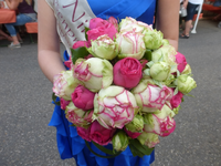 P1510628.webp
